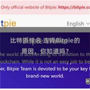 比特派排名 选择Bitpie的原因，你知道吗？