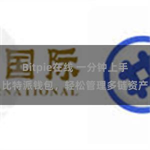 Bitpie在线 一分钟上手比特派钱包，轻松管理多链资产