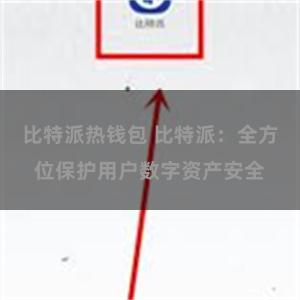 比特派热钱包 比特派：全方位保护用户数字资产安全