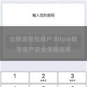 比特派钱包用户 Bitpie数字资产安全保障指南