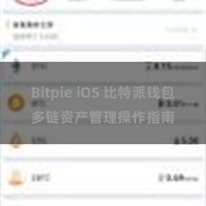 Bitpie iOS 比特派钱包多链资产管理操作指南