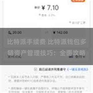 比特派手续费 比特派钱包多链资产管理技巧：全面攻略