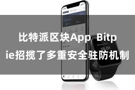 比特派区块App  Bitpie招揽了多重安全驻防机制