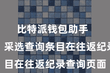 比特派钱包助手 第三步:采选查询条目在往返纪录查询页面