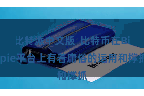 比特派中文版 比特币在Bitpie平台上有着庸俗的运用和撑抓